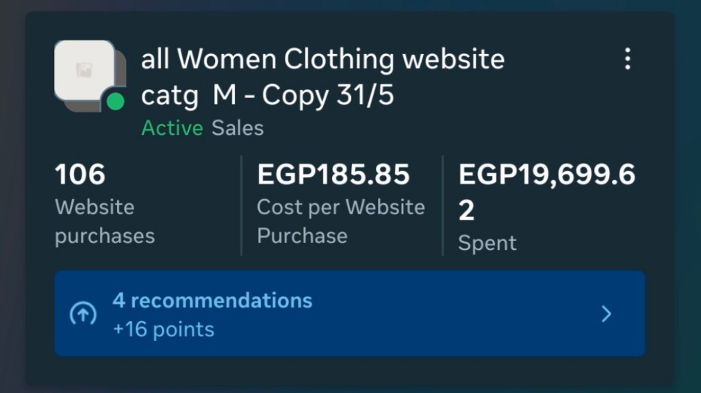 Women Clothing (106 purchases)